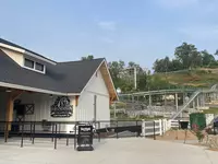 wild stallion mountain coaster
