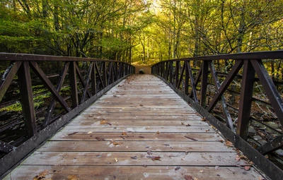 gatlinburg trail dog friendly