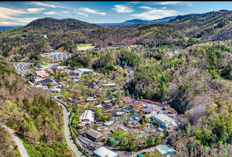 Elizabeth's View