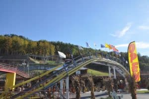 mountain coaster 
