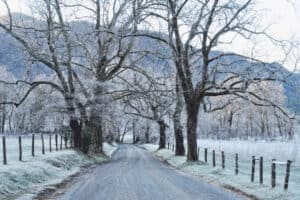 snowy road in Cades Cove